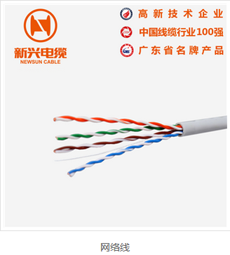 网络线