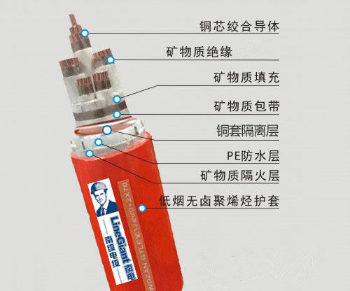 产品详情